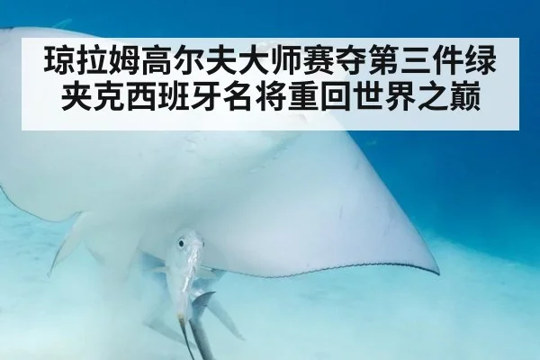 琼拉姆高尔夫大师赛夺第三件绿夹克西班牙名将重回世界之巅